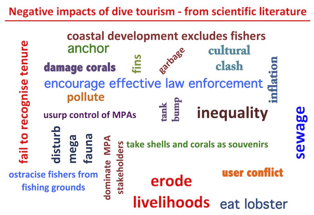 Negative impacts of dive tourism The Dive Tourist saving our coral